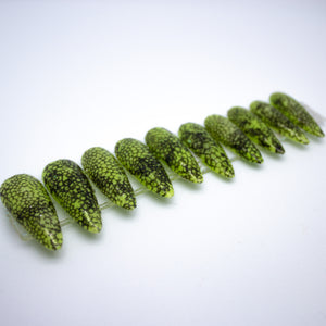 Nuclear Snakeskin Press On Nail Set